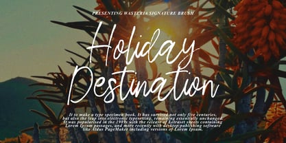 Boseriqe Signature Brush Font Poster 5