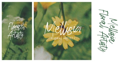 Boseriqe Signature Brush Font Poster 2