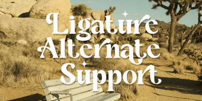 Grove Honey Font Poster 8