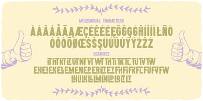 Youth Energy Font Poster 5