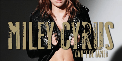 Roadkill Font Poster 13