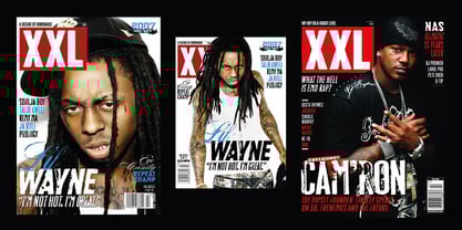 Roadkill Font Poster 9