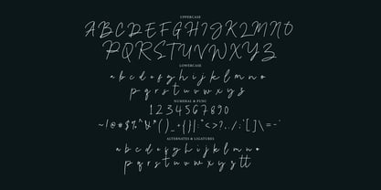 Sinden Signature Font Poster 8