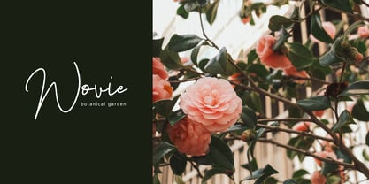 Sinden Signature Font Poster 2