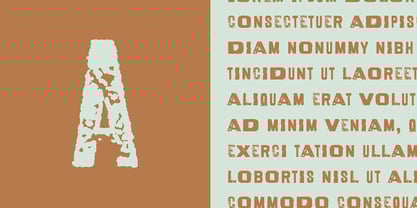 Conselheiro Font Poster 5