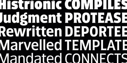 Fathom Font Poster 7