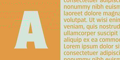 Fathom Font Poster 4