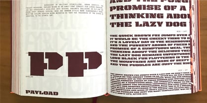 Payload Font Poster 12