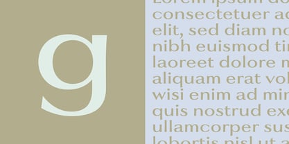 Clique Font Poster 4