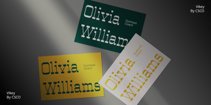 Vilkey Font Poster 3