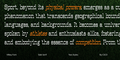 Vilkey Font Poster 5