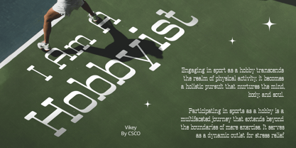 Vilkey Font Poster 4