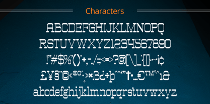 Vilkey Font Poster 6