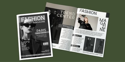 Delavine Font Poster 13