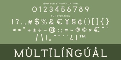 Delavine Font Poster 7