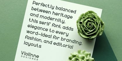 Delavine Font Poster 8