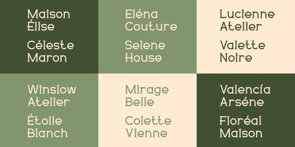 Delavine Font Poster 14