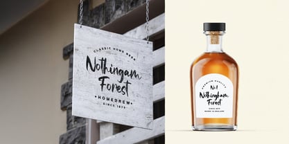 Famous Brush Font Poster 3