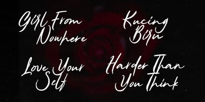 Cattemine Font Poster 5