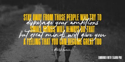 Cattemine Font Poster 3