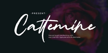 Cattemine Font Poster 1