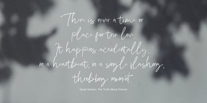 Pigane Signature Brush Font Poster 3