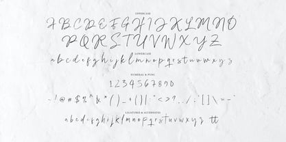 Pigane Signature Brush Font Poster 6