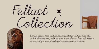 Buttely Font Poster 4