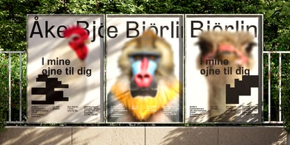 SF Marilis Font Poster 3