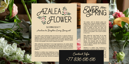 Gellica Soft Font Poster 6