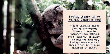 Sweet Zine Font Poster 7