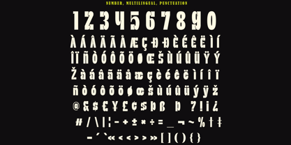 Scater Font Poster 13