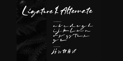 Rosellir Font Poster 11