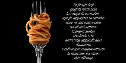 Delovancy Font Poster 6