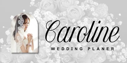 Delovancy Font Poster 2