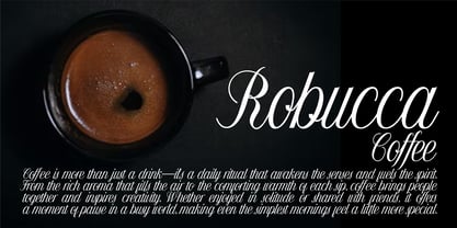 Delovancy Font Poster 9