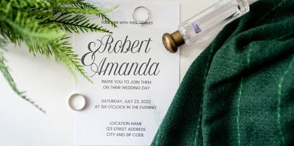 Delovancy Font Poster 4