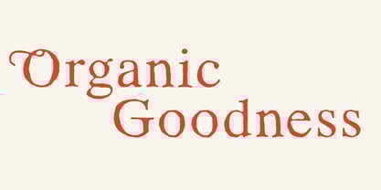 TC Seraphine Font Poster 4