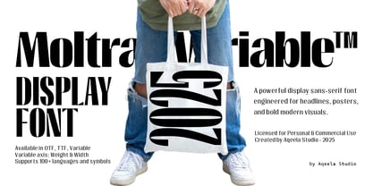 Moltrak Font Poster 4