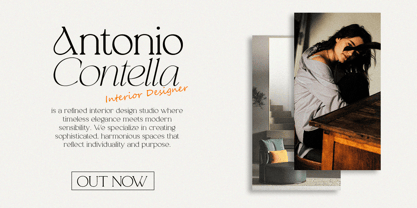 Analogi Serif Font Poster 2