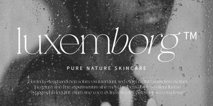 Analogi Serif Font Poster 8