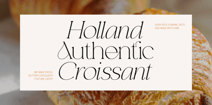 Analogi Serif Font Poster 4