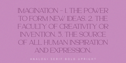 Analogi Serif Font Poster 12