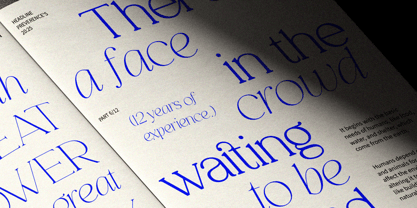 Analogi Serif Font Poster 5