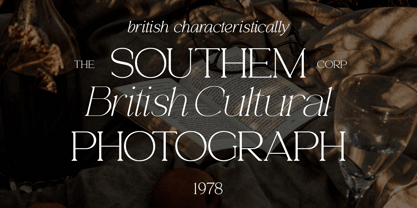 Analogi Serif Font Poster 13