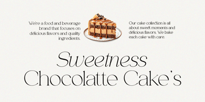 Analogi Serif Font Poster 3