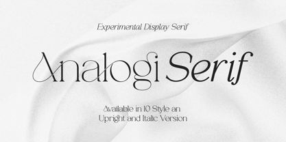 Analogi Serif Font Poster 1