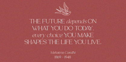 Analogi Serif Font Poster 7