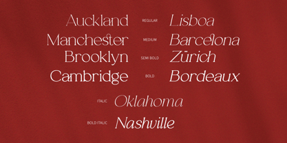 Analogi Serif Font Poster 10