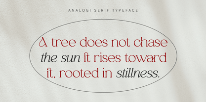 Analogi Serif Font Poster 11